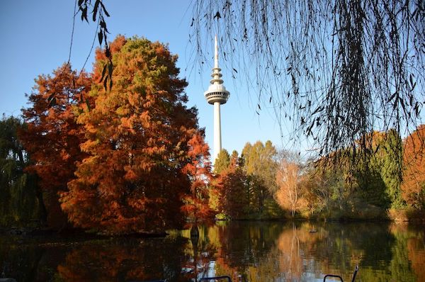 Blick auf einen Herbstwald, im Hintergrund ein Fernsehturm, um Vordergrund ein See